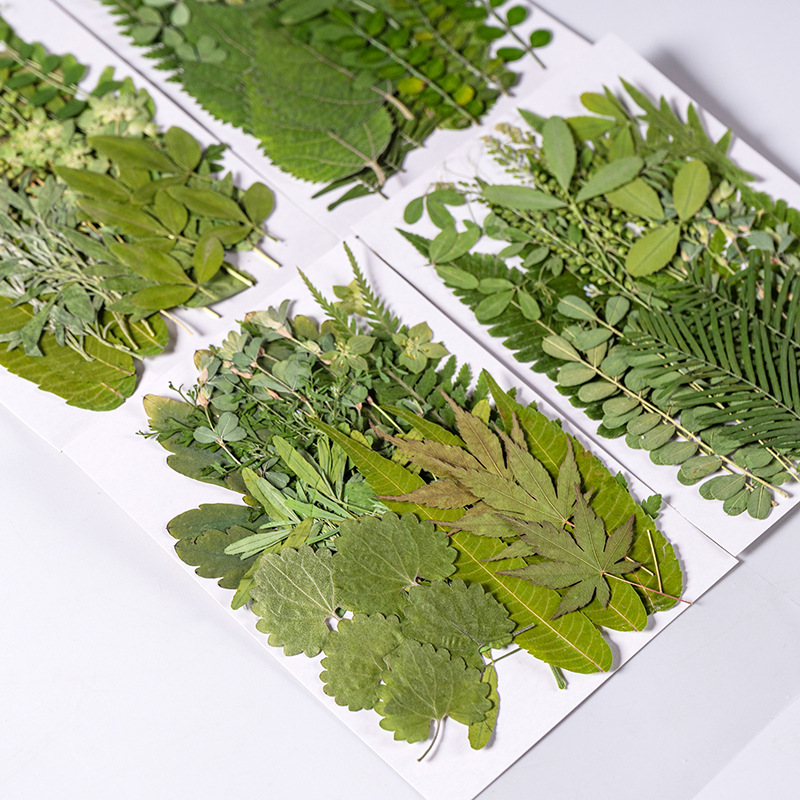 Dried Flower Bulk - 1 セット 35 個押し花ドライフラワー混合葉ハーバリウム樹脂エポキシジュエリーカードブックマークフレームファン電話ケース化粧ランプ DIY