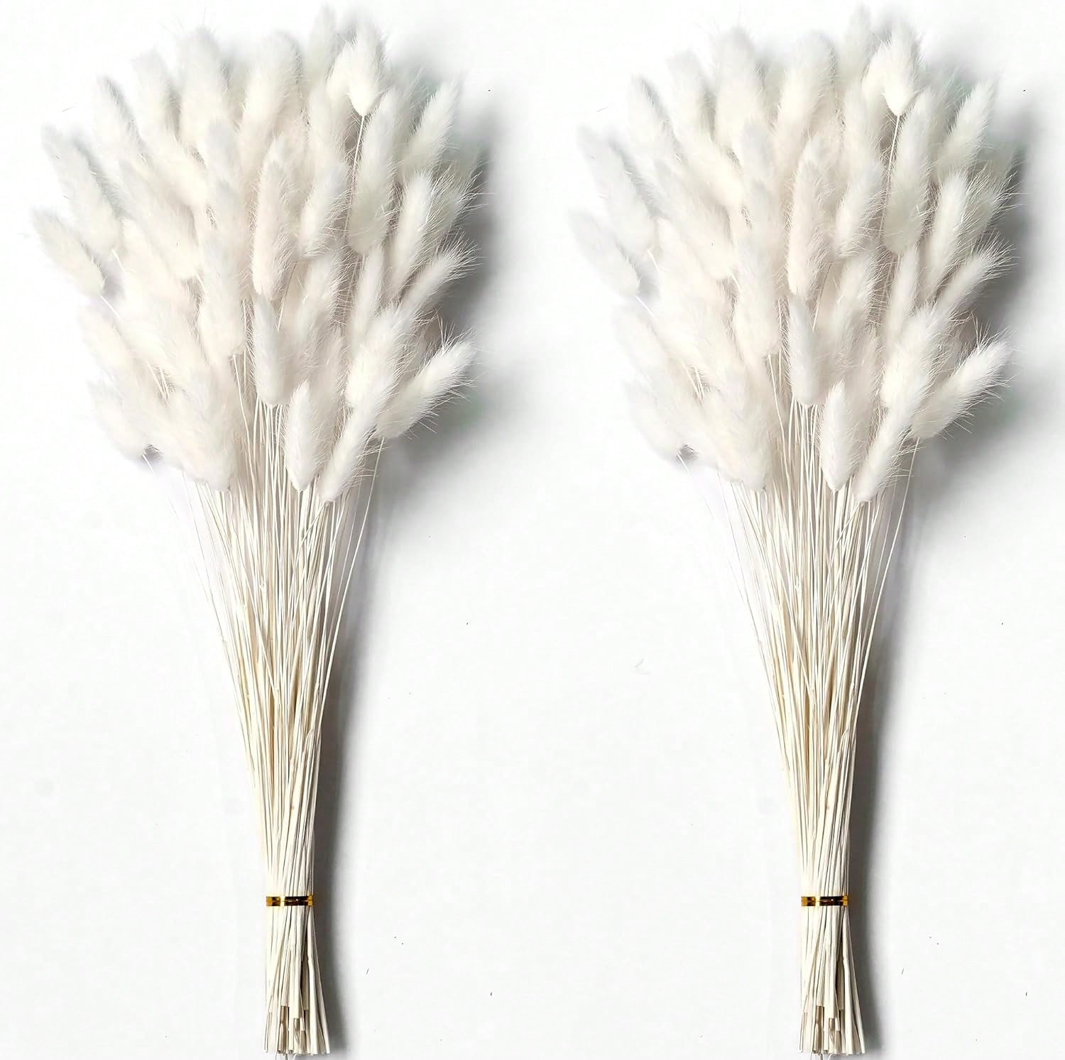 120個入り パンパスグラス ドライフラワー デコレーション - Dried Flower Bulk のレビューと価格