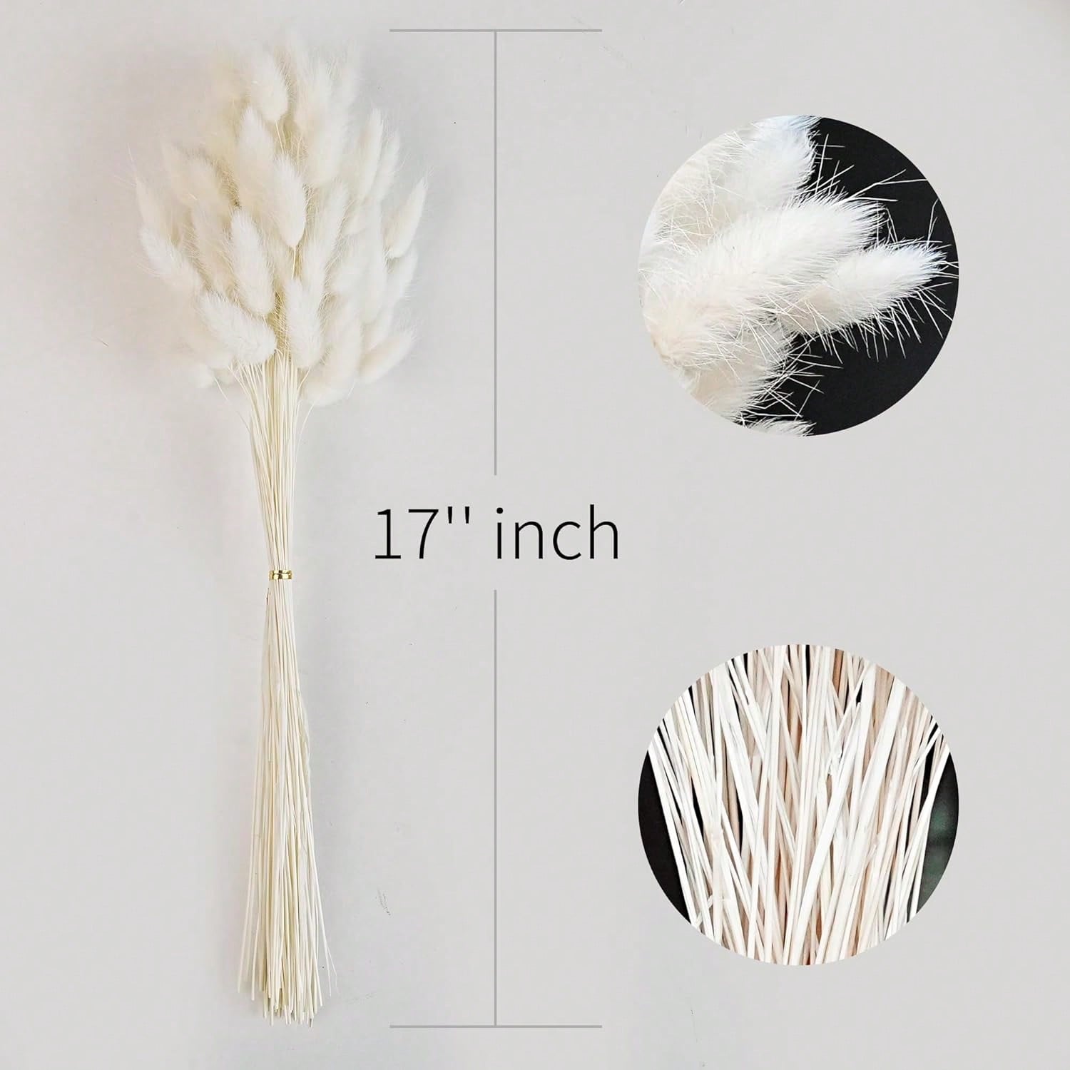 120個入り パンパスグラス ドライフラワー デコレーション - Dried Flower Bulk のレビューと価格